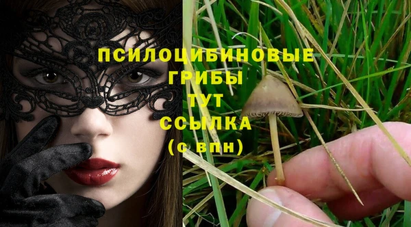 герыч Алзамай