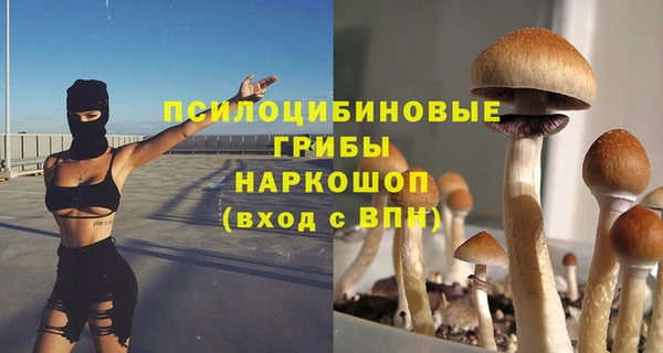mdpv Алексин
