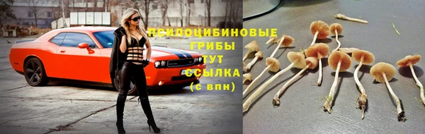 mdpv Алексин
